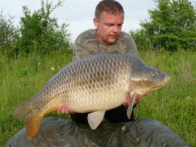 34lb