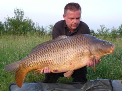 44lb