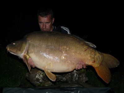 46lb