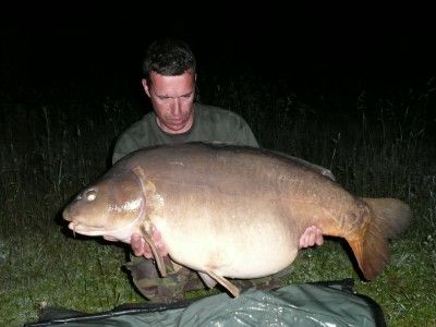 59lb