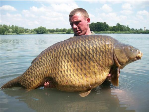 63lb