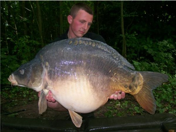 43lb