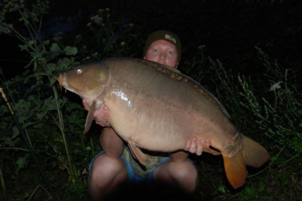 38lb