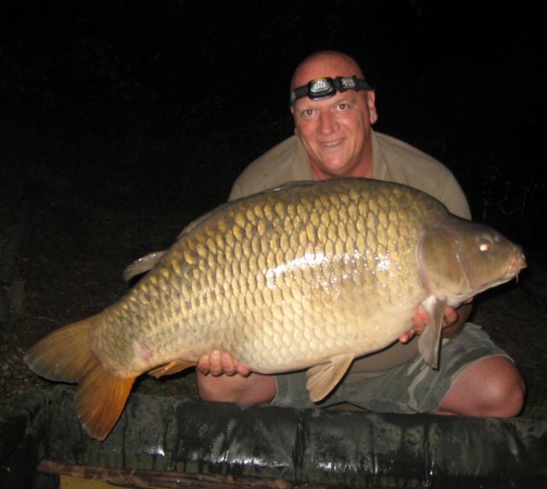 50lb