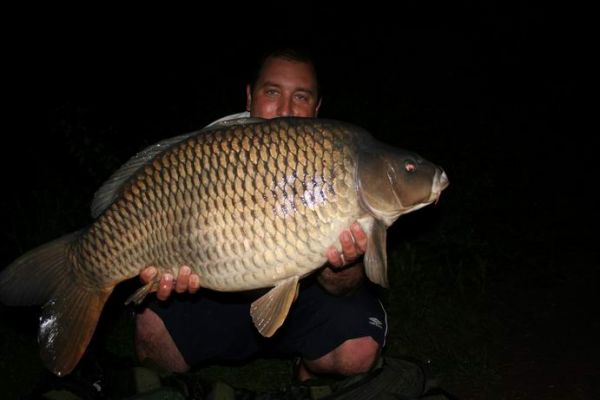 31lb