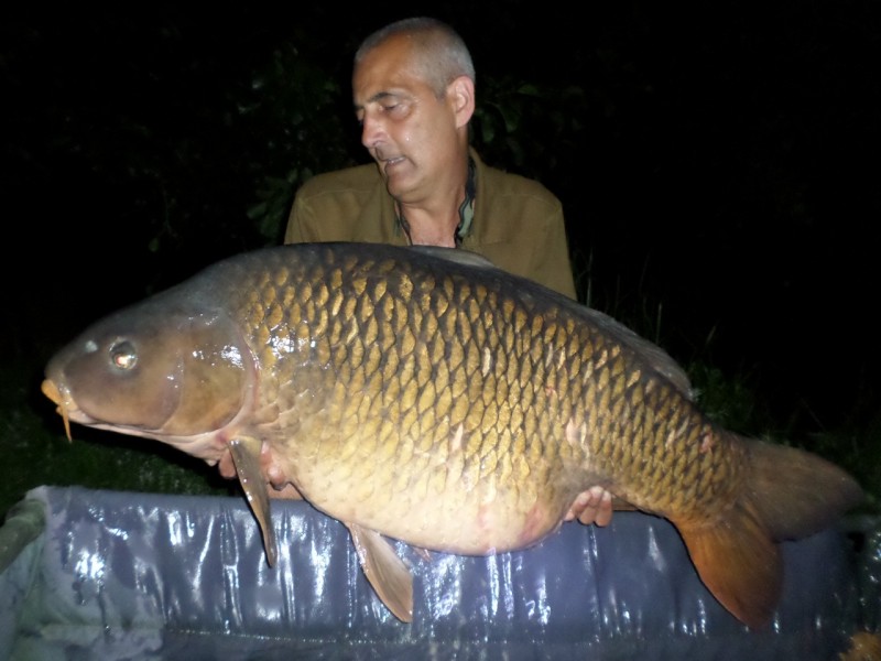 59lb