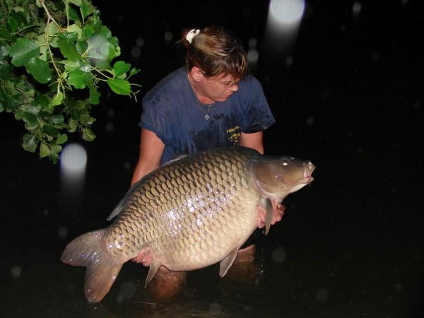 62lb