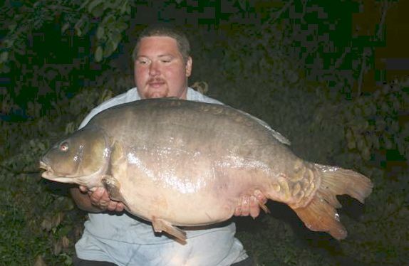 47lb