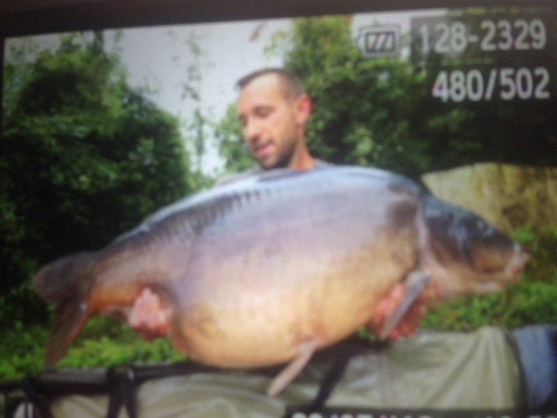 20lb
