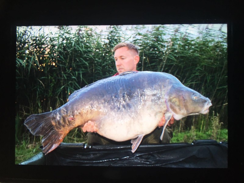 20lb