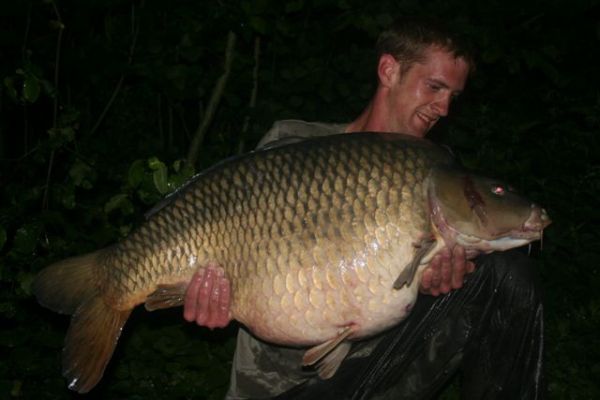 64lb
