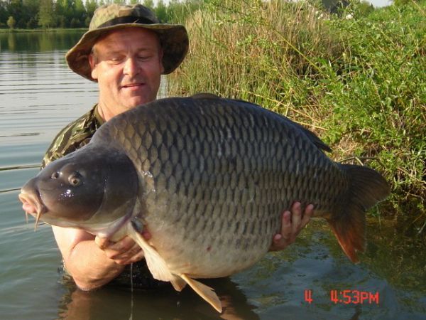 60lb
