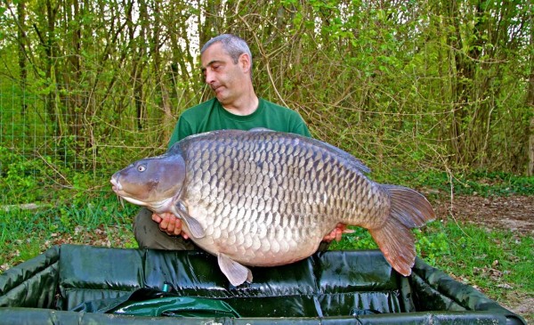 74lb