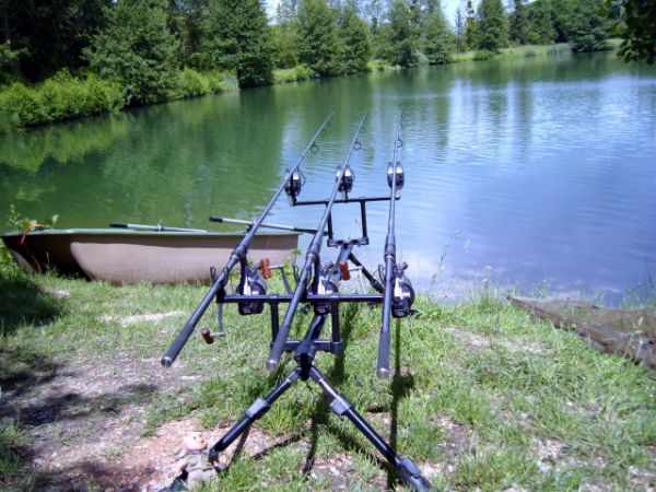 20lb