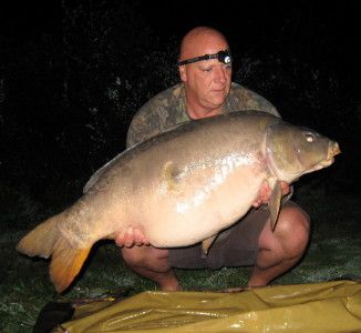 48lb